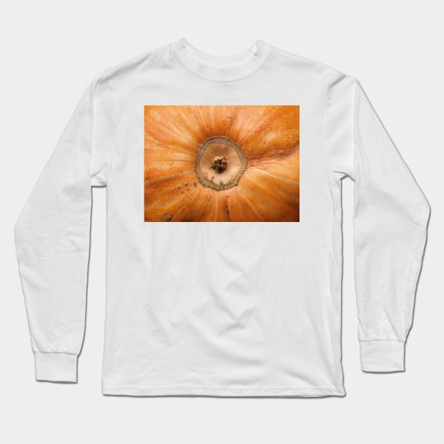 Pumpkin Close Up Long Sleeve T-Shirt by danieljanda